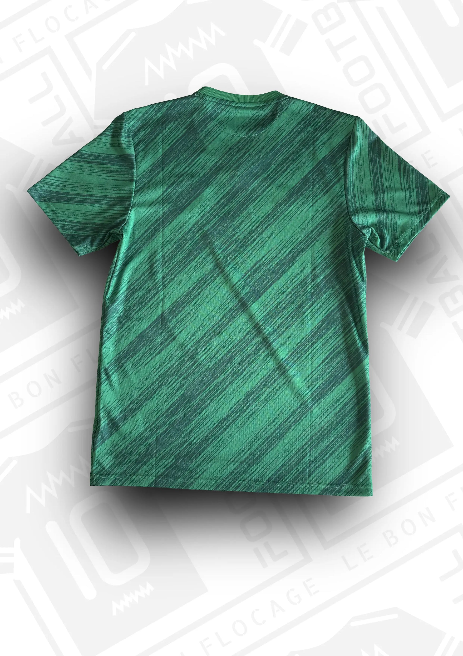 maillot-officiel-irlande-nord-2020-domicile-dos