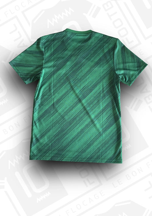 maillot-officiel-irlande-nord-2020-domicile-dos