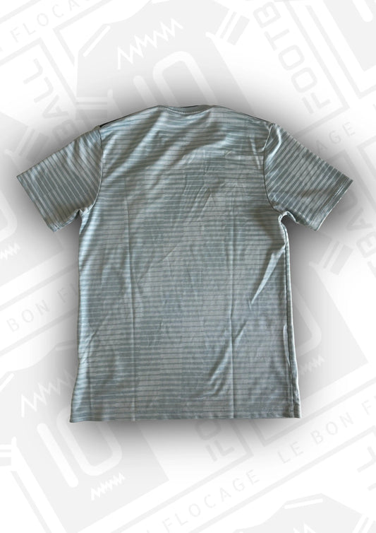 maillot-officiel-irlande-nord-2018-exterieur-face