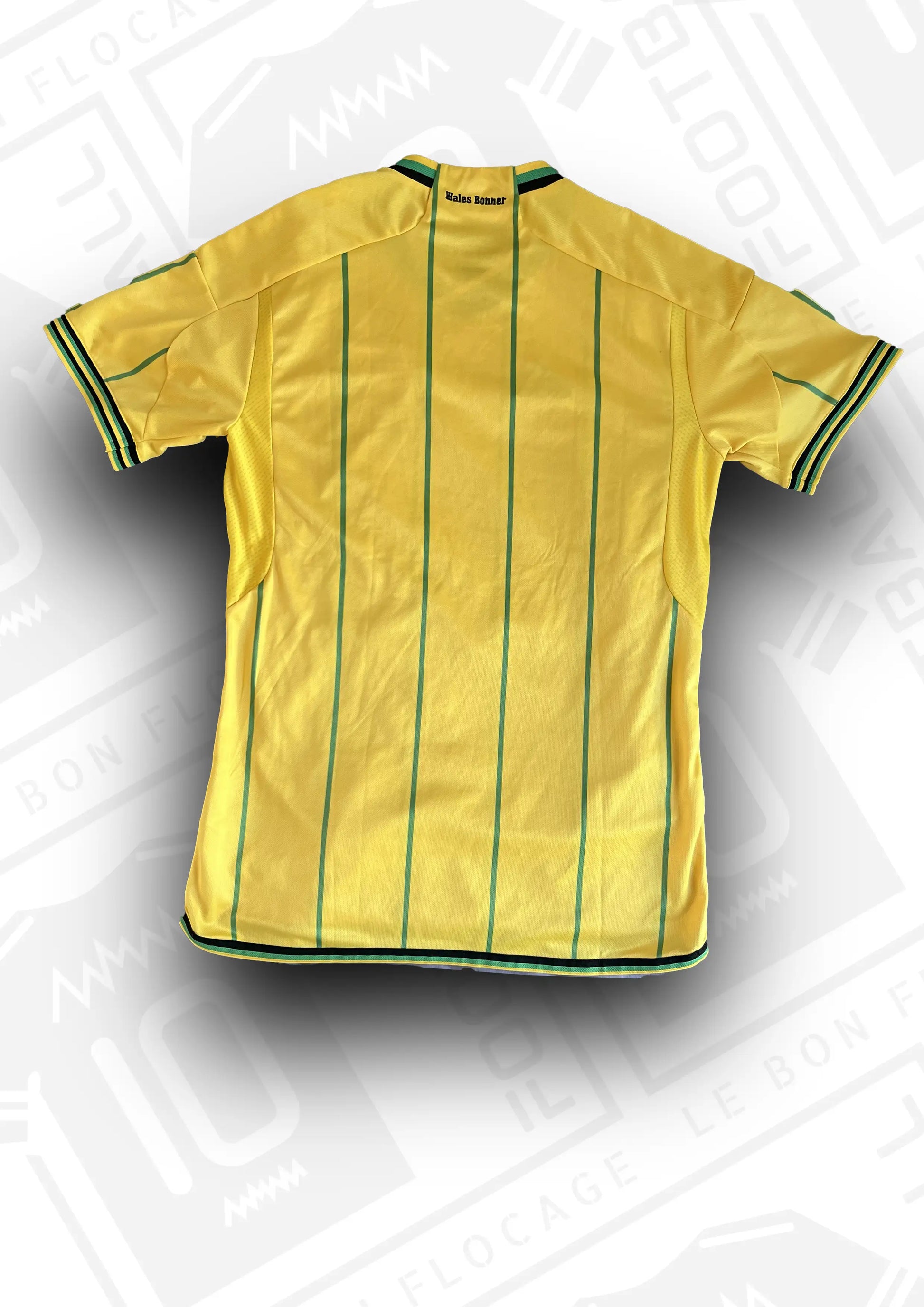 maillot-officiel-jamaique-2023-domicile-dos