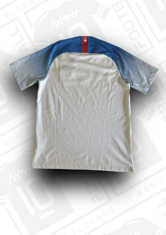 maillot-officiel-slovaquie-2018-exterieur-dos