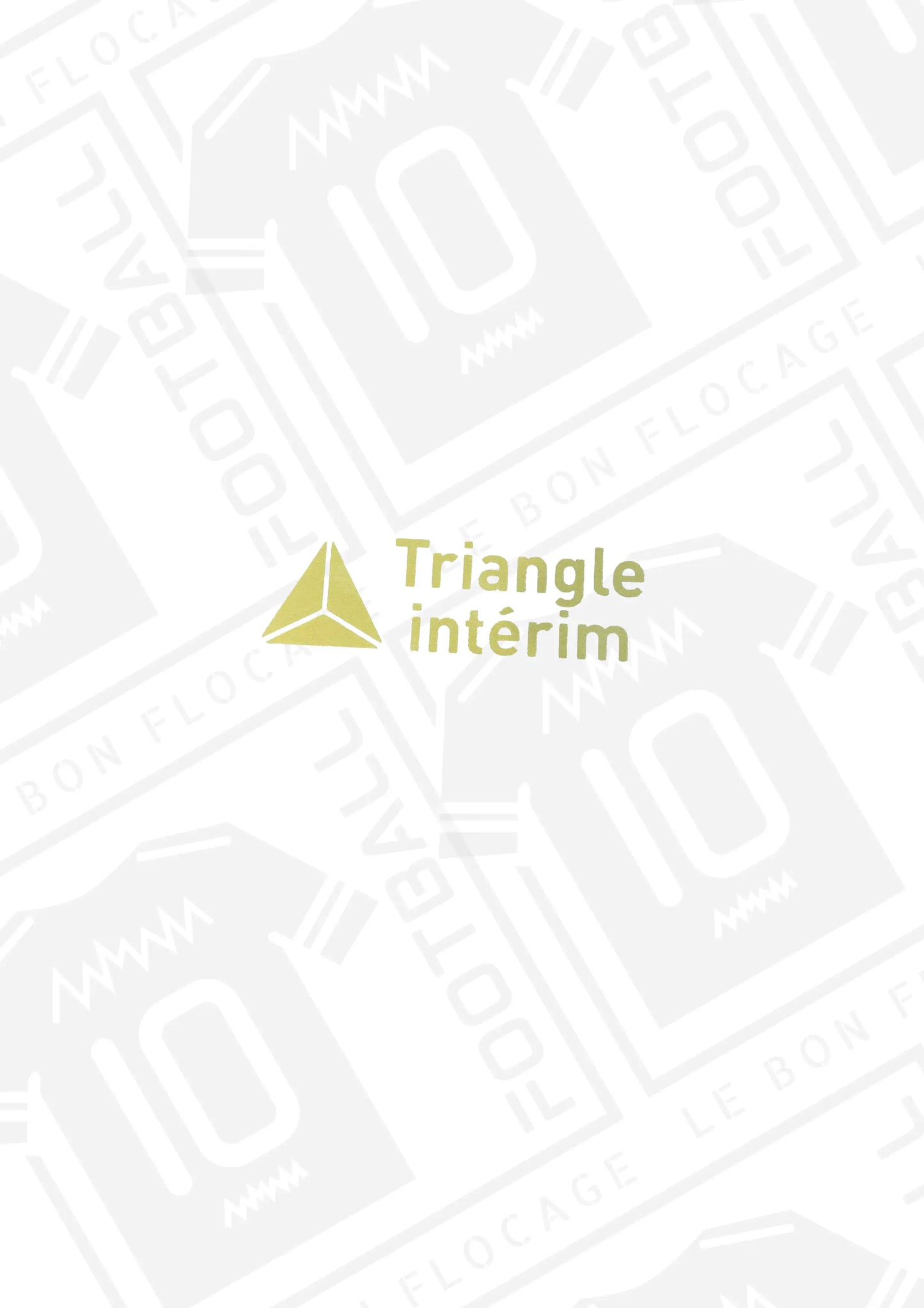 sponsor-officiel-triangle-interim-25-26-exterieur