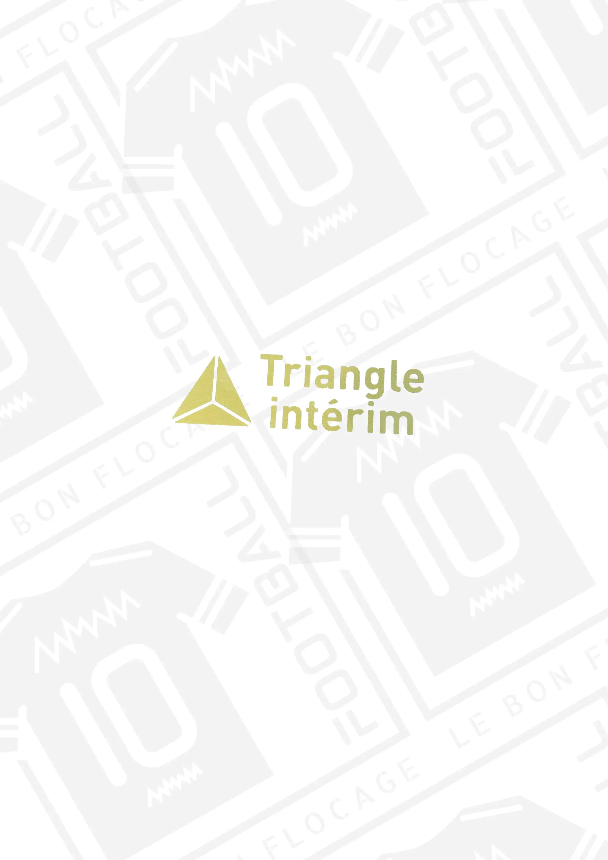 sponsor-officiel-triangle-interim-25-26-exterieur