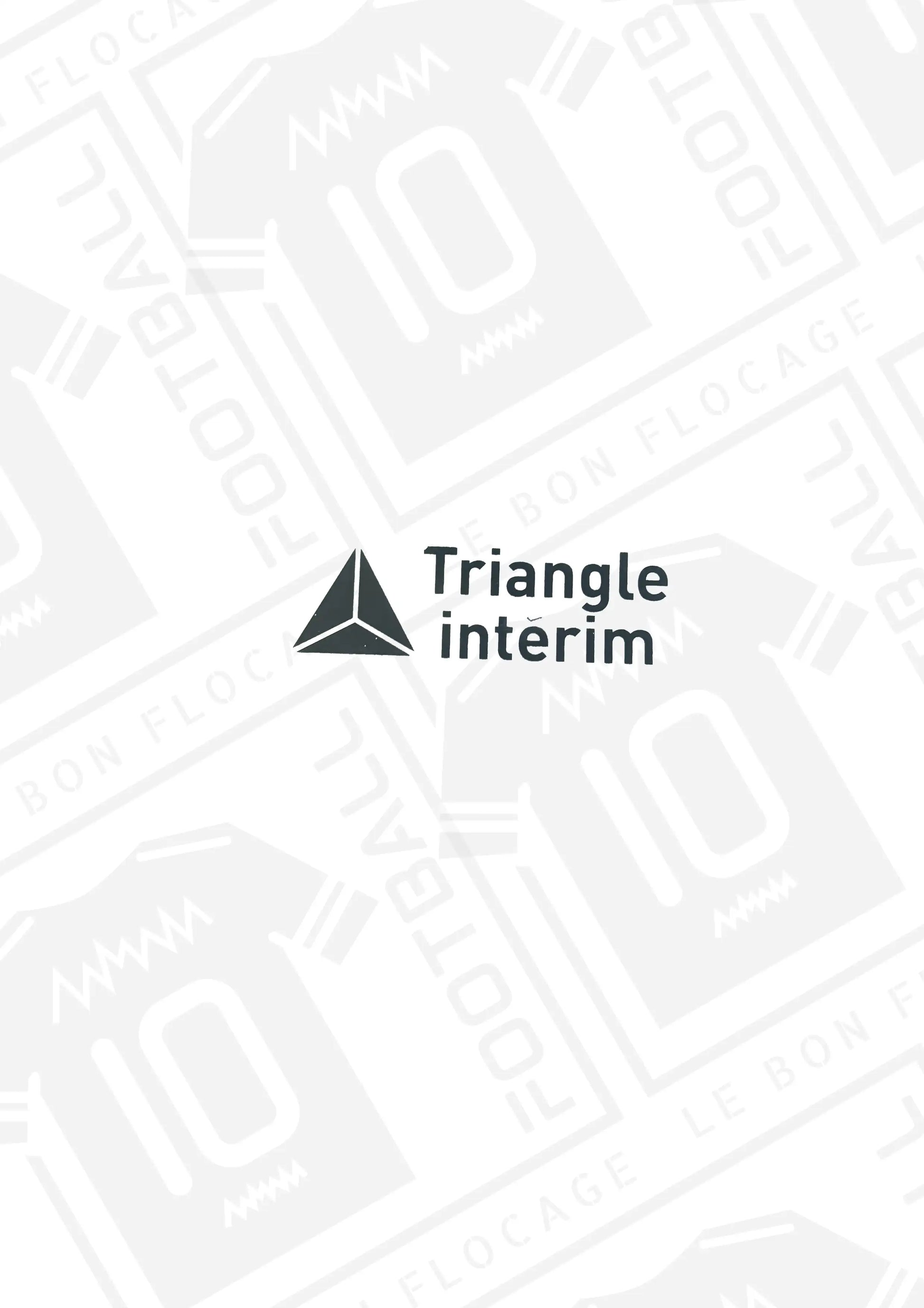 sponsor-officiel-triangle-interim-monaco-third-25-26