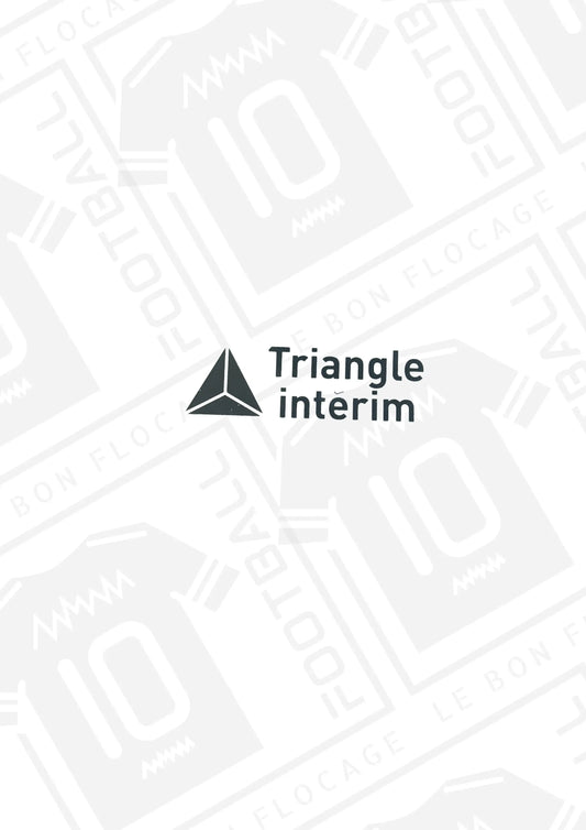 sponsor-officiel-triangle-interim-monaco-third-25-26